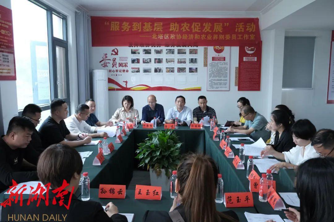 北塔区政协委员:服务到基层 助农促发展_邵阳头条网